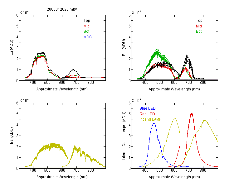 2005012623_01.png