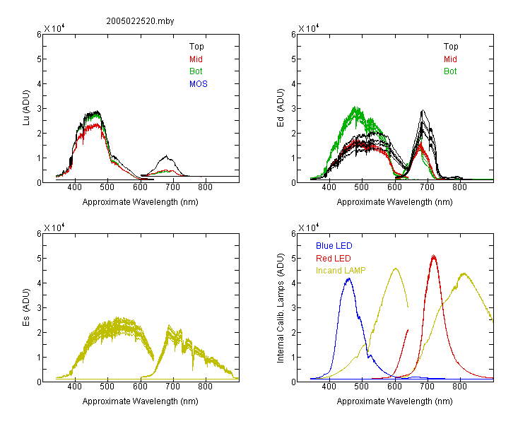 2005022520_01.png